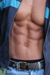 muscular male torso