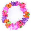 cheap hawaiian lei