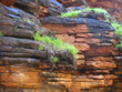 Alligator Gorge, Flinders Ranges of South Australia
