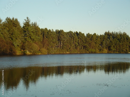 Photo: treesandlake2 treesandlake2
