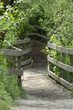 Foto: hiking trail in park hiking trail in park