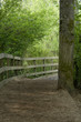 Foto: hiking trail in park hiking trail in park