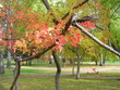 all paints autumn