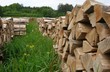 stères de bois
