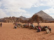 dromadaires wadi rum jordanie