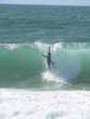 surf
