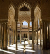 lion patio stiched image