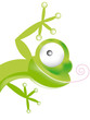 cameleon
