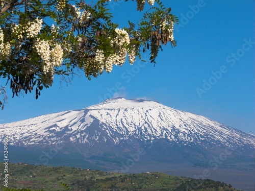 Foto: fronde e etna fronde e etna