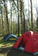 camping