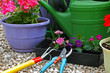 jardinage
