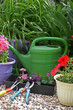 jardinage