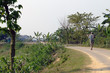 going to the market 03