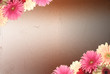 scratched metal panel with flower