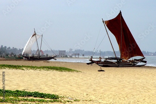 Negombo beach Sri-Lanka