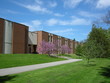 low-rise building in park low-rise building in park