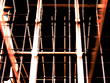 cage world