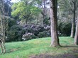 parc du bois des moutiers à varengeville