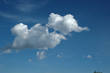 dumbo