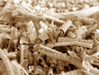 wood shavings 1 v2 wood shavings 1 v2