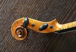 violin detail