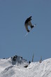 snowboard hip