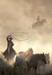 catching wild horses