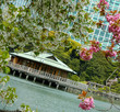 casa da tè nakajima casa da tè nakajima