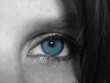 auge