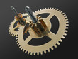 gear wheels.
