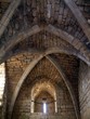 Arched ceiling and day light coming through window