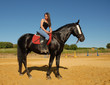 top modele equestre