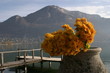 lac annecy