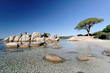 plage de palombaggia, porto-vecchio