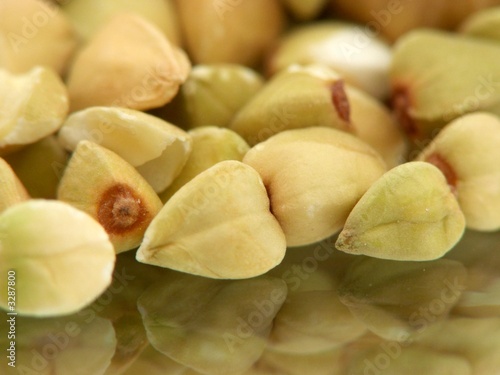 graines de sarrasin (fagopyrum esculentum) ou blé