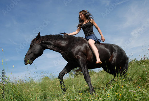 cheval libre et cavaliere cheval libre et cavaliere