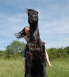 cheval pointé