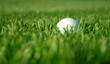 golf ball in the rough