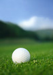 golf ball on the course
