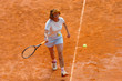 tennis paly