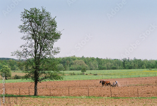 Photo: amish farm plow amish farm plow