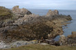 sur la côte de l'ile