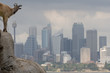 skyline