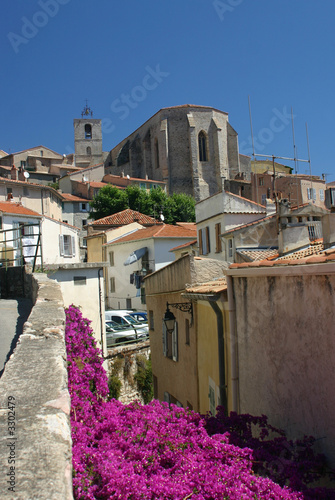 hyères les palmiers