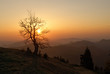 sonnenbaum sonnenbaum