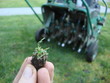 Foto: lawn aeration lawn aeration