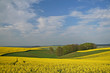 "einfach nur natur 7"
