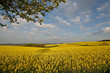 "einfach nur natur 9"