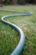 twisty garden hose