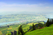 swiss rigi culm